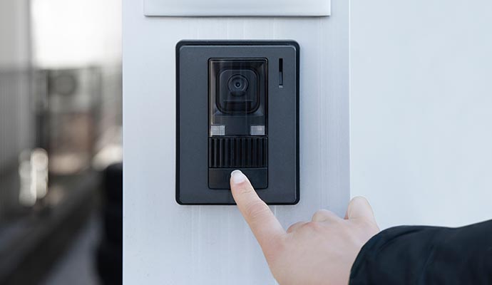 Biometric security system