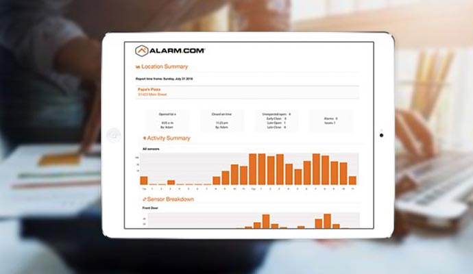 Business report summary